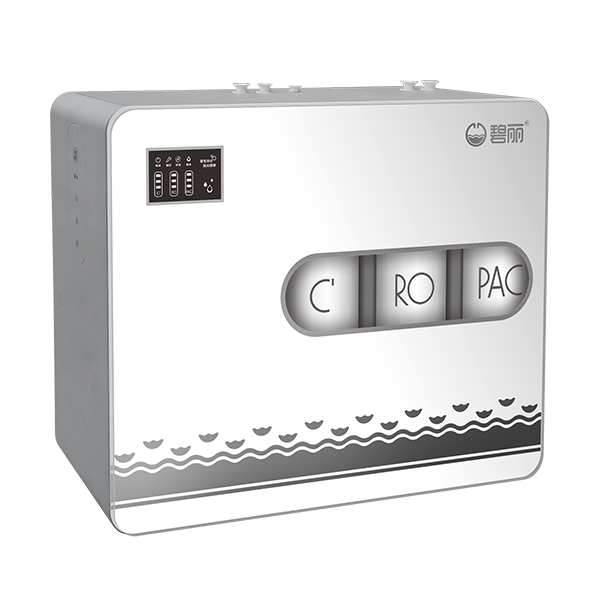 碧丽家用 RO-100A